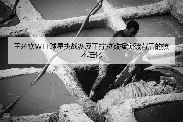 王楚钦WTT球星挑战赛反手拧拉数据突破背后的技术进化