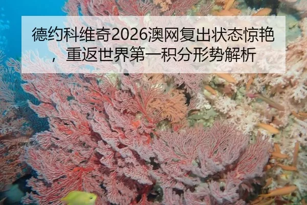 德约科维奇2026澳网复出状态惊艳，重返世界第一积分形势解析