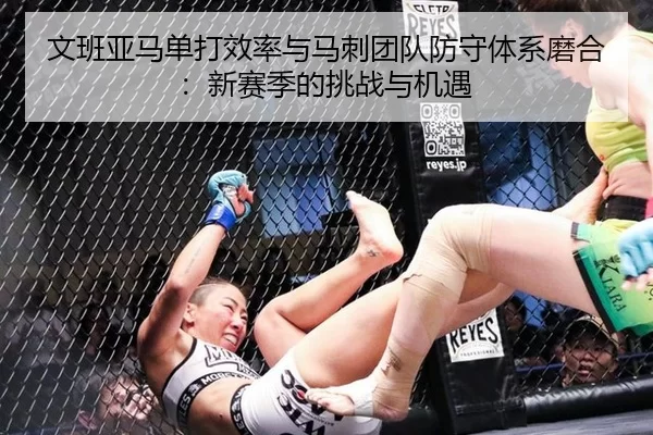 wen-ban-ya-ma-dan-da-xiao-lv-yu-ma-ci-tuan-dui-fang-shou-ti-xi-mo-he-xin-sai-ji-de-tiao-zhan-yu-ji-yu-2-118.jpg